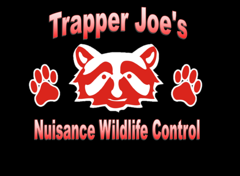 Trapper Joe's Nuisance Wildlife Control Logo
