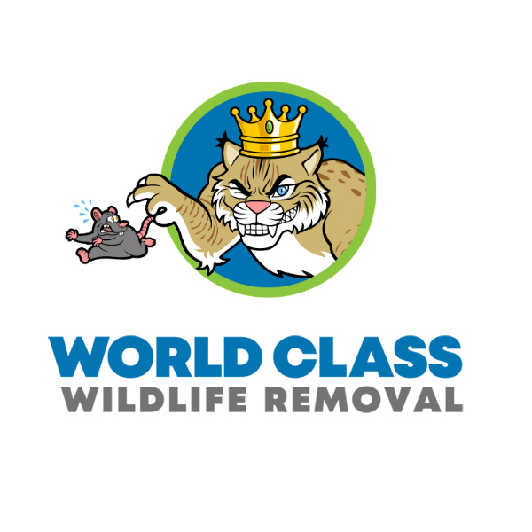 World Class Wildlife Removal & Rodent Remediation Logo