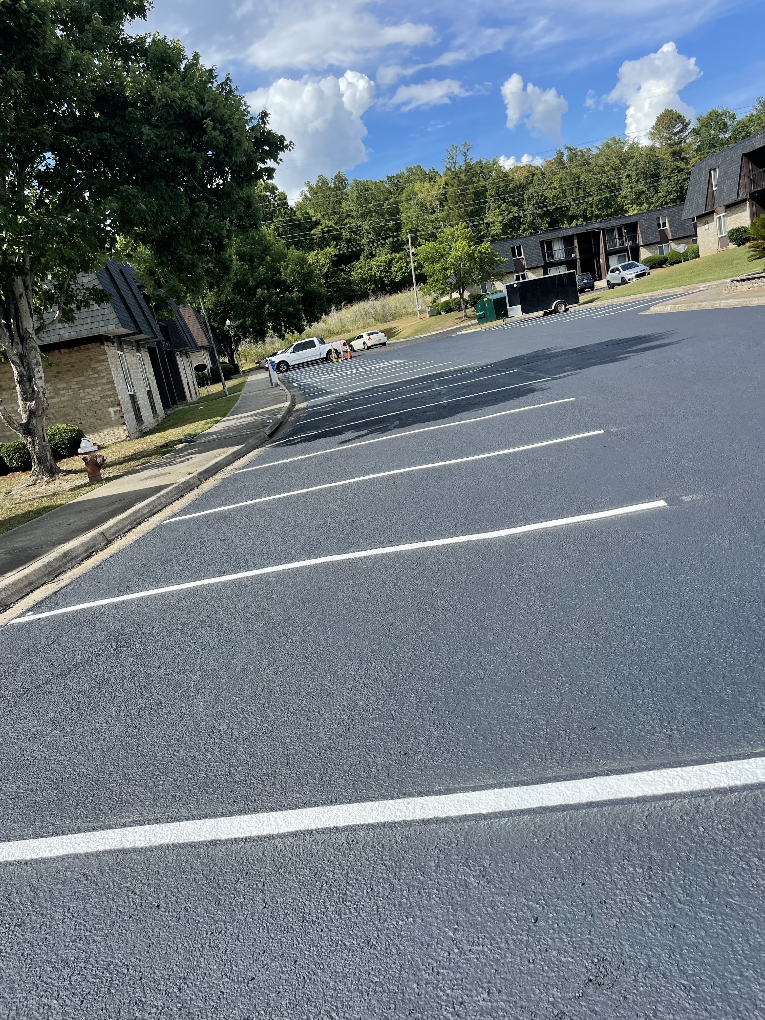 Southeast Asphalt Restoration Pros Logo