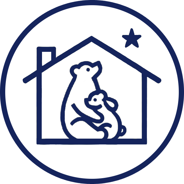 Ursa Organization Logo