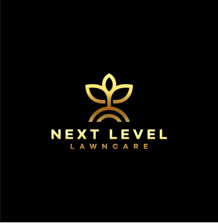 Next Level Hauling Logo