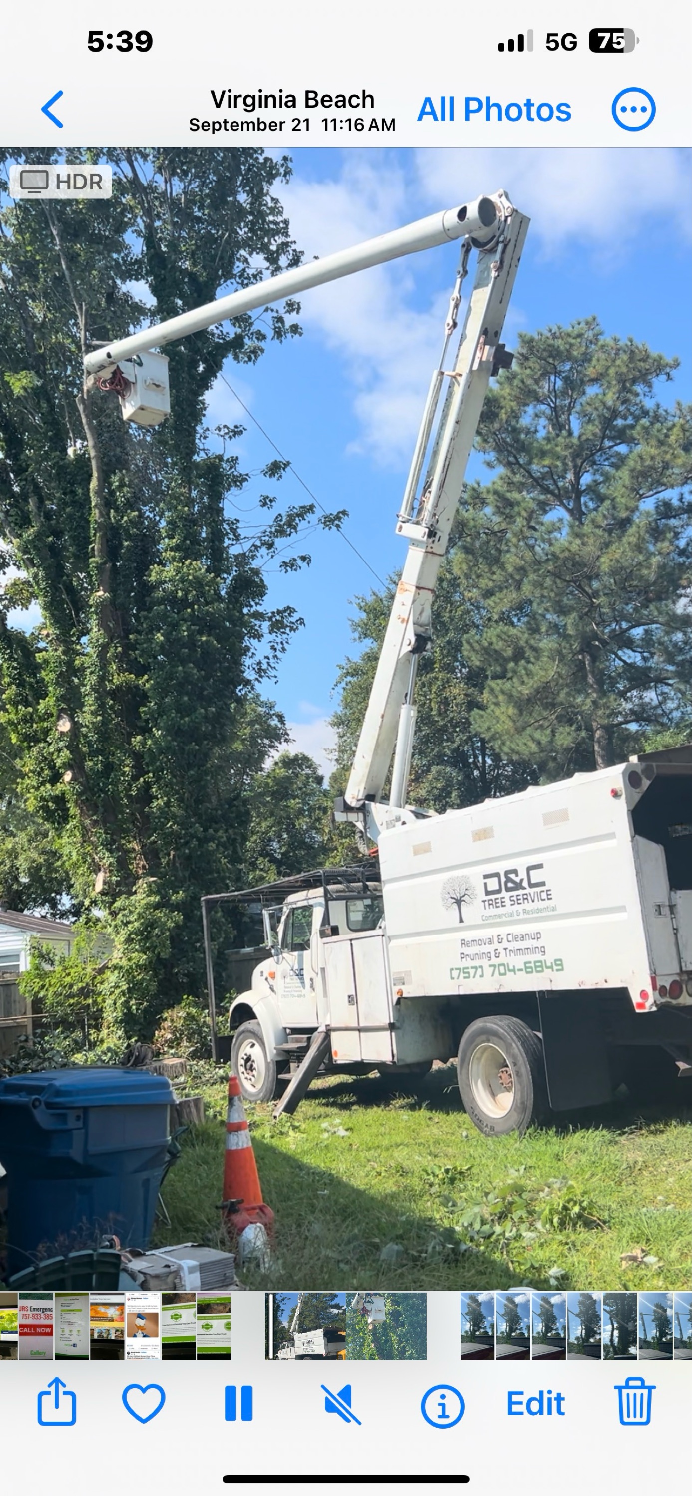 D&C Tree Service, LLC Logo