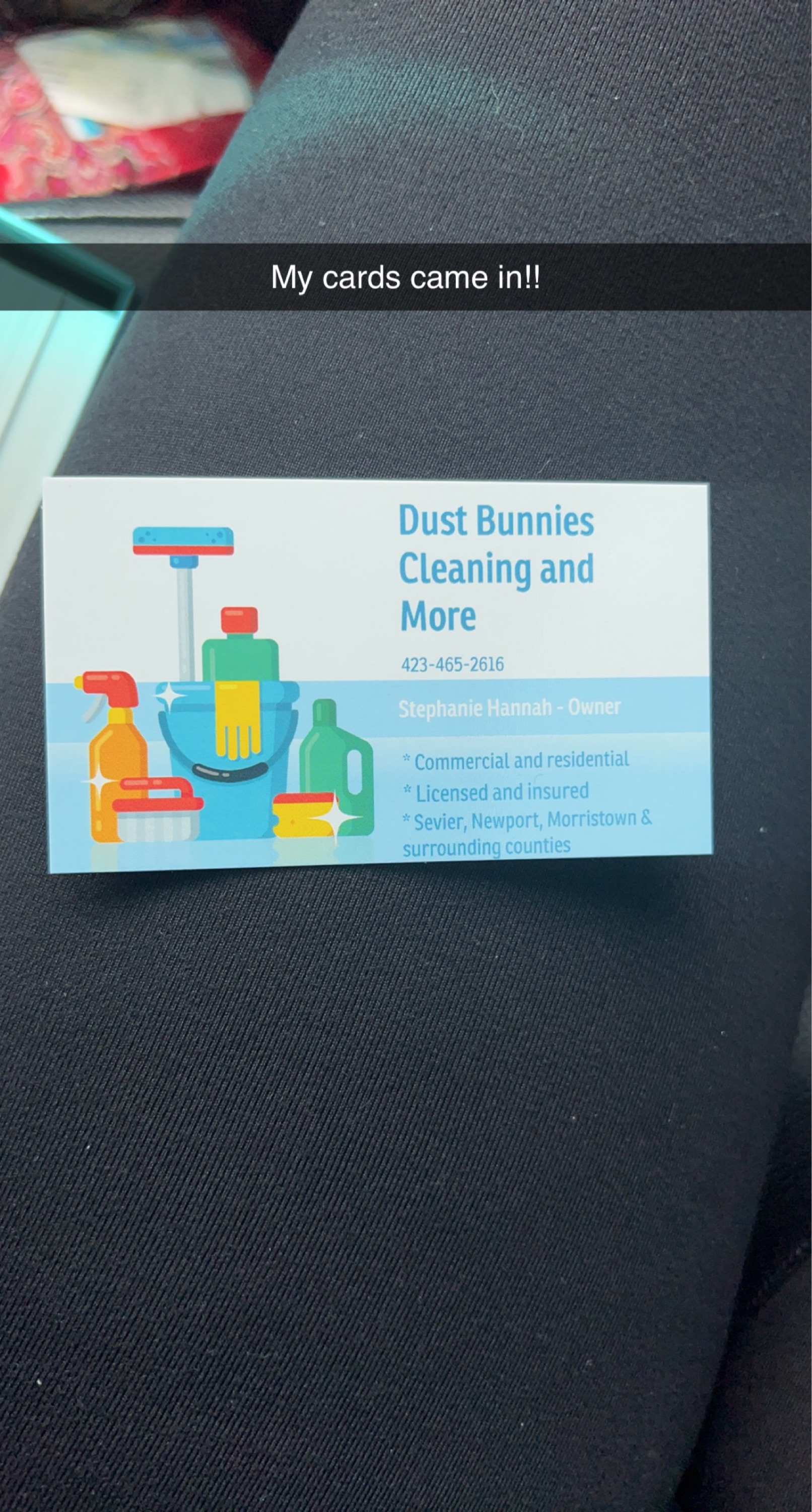 Dust Bunnies Cleaning and More Logo