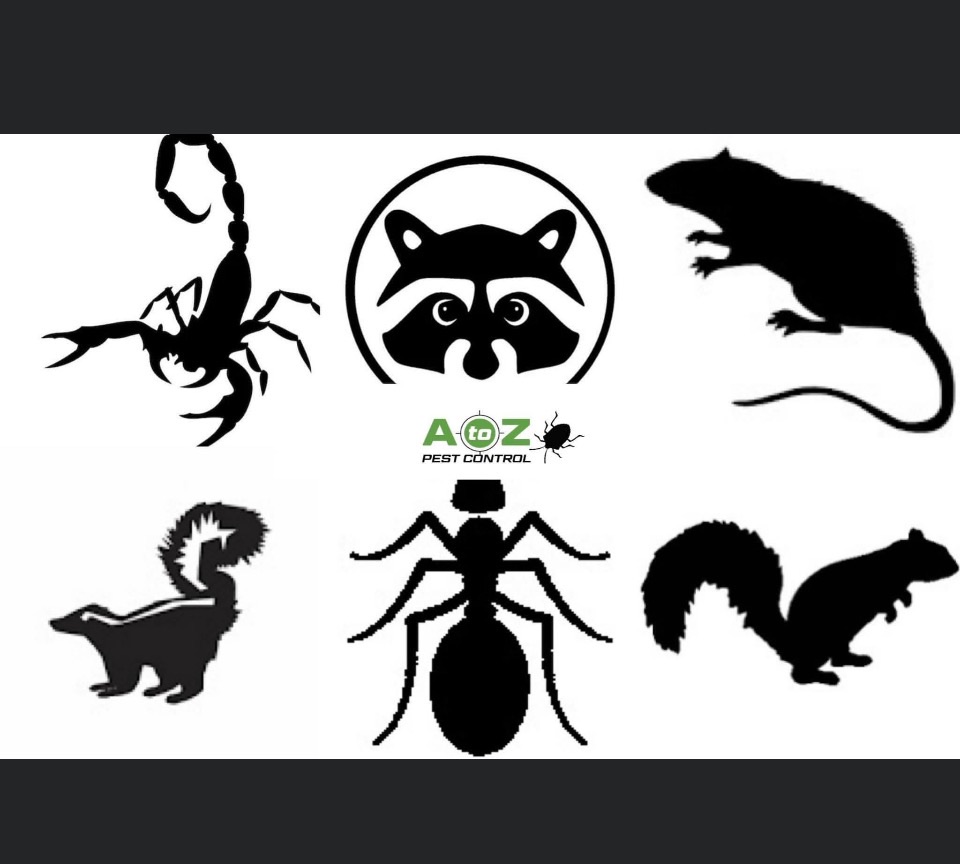 A to Z Pest Control  Pest Services Logo