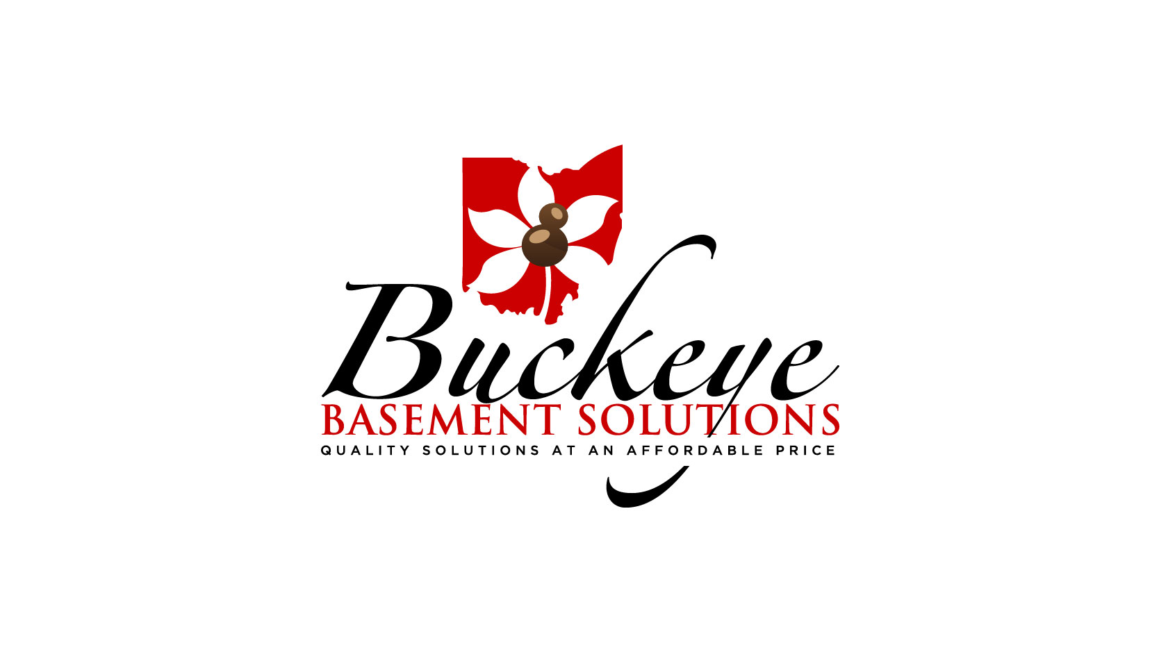 Buckeye Basement Solutions Logo