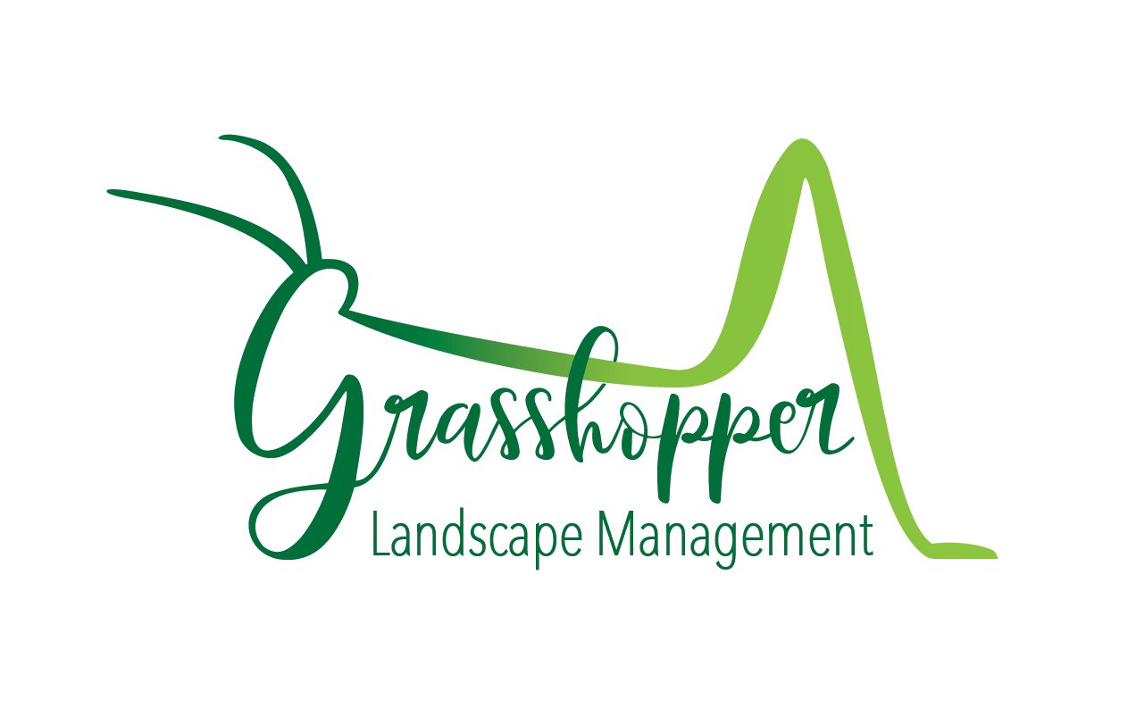 Grasshopper Design Logo