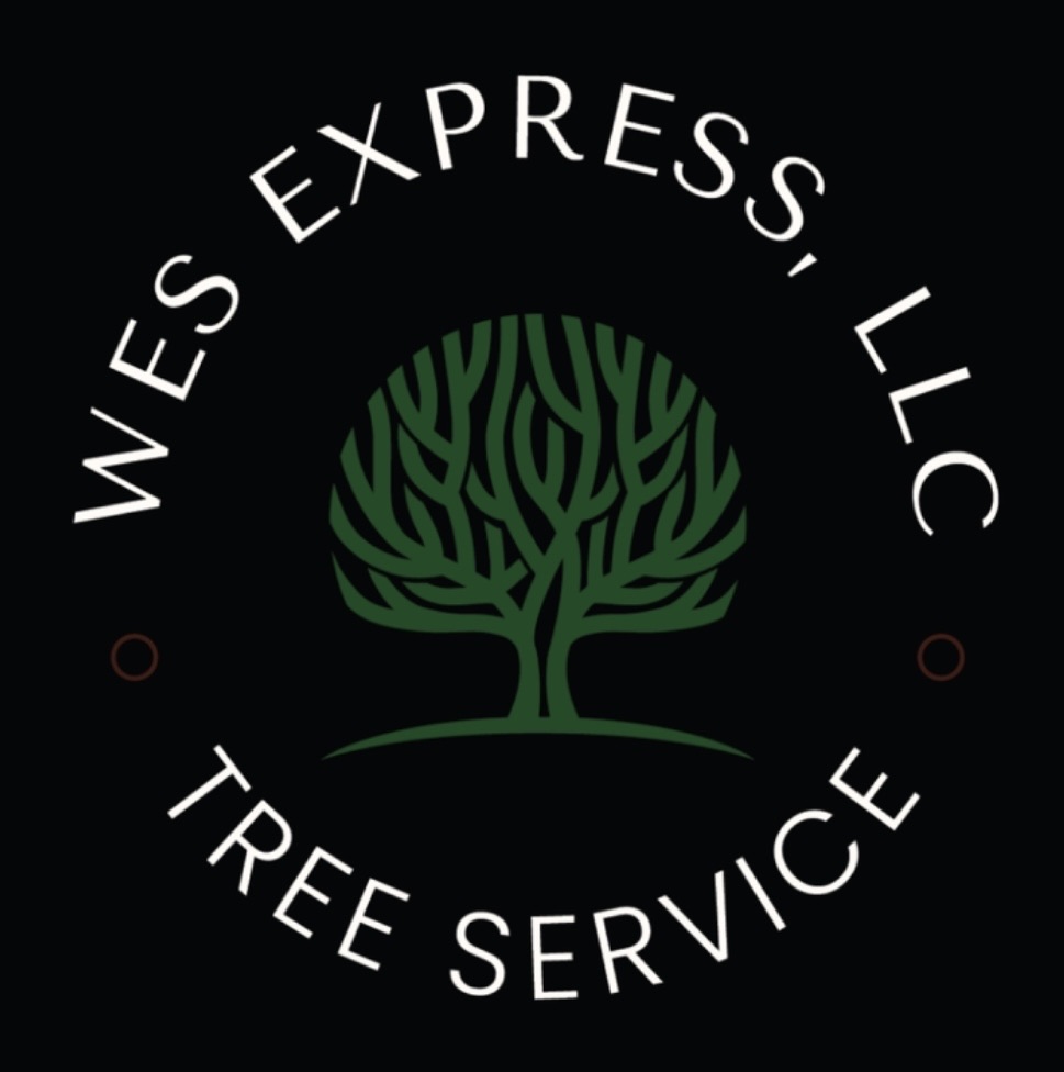 Wes Express Logo