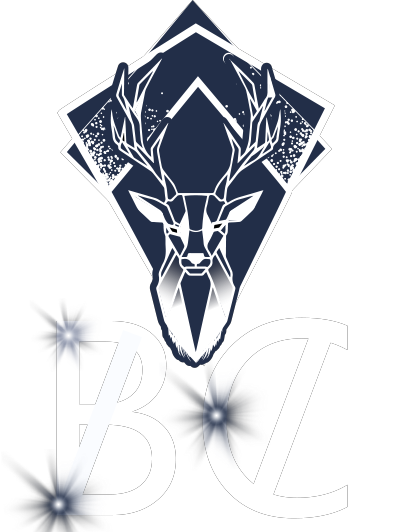 BC Excavation & Construction Logo