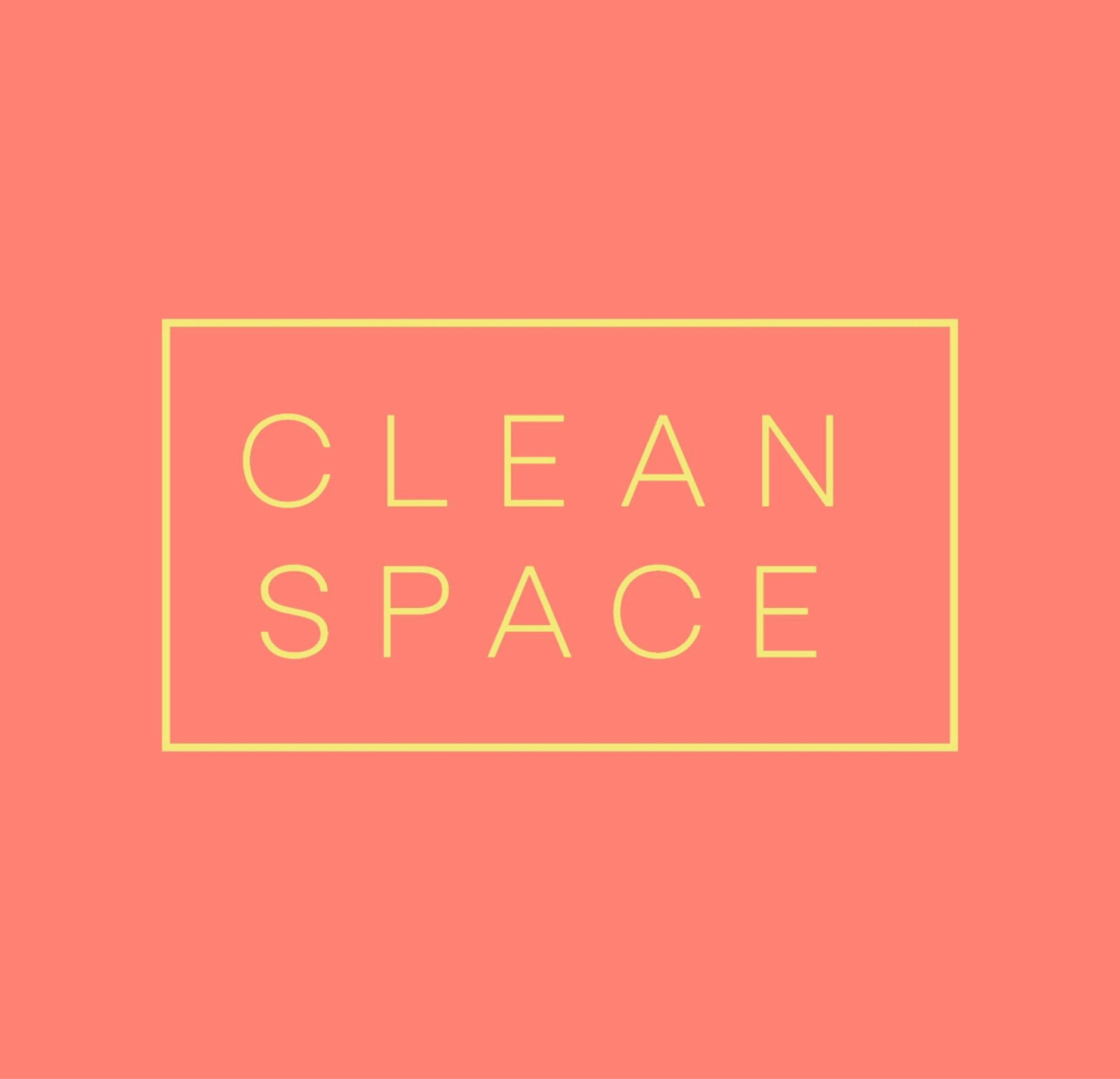Clean Space LLC Logo