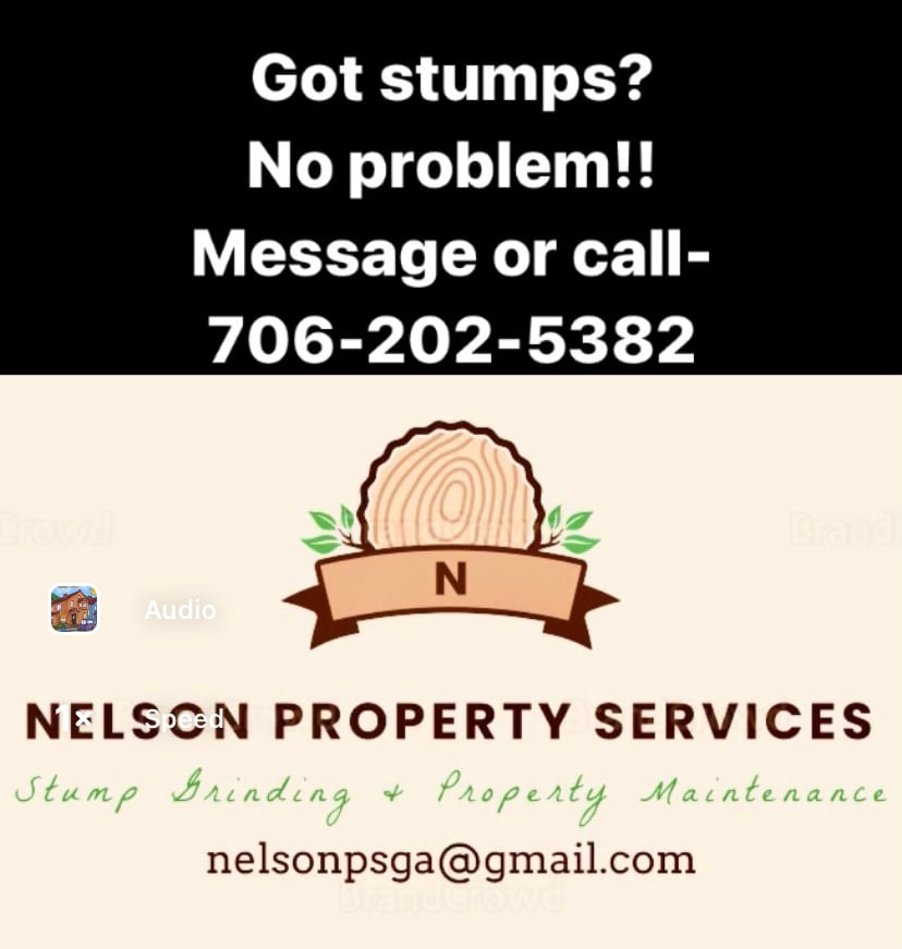 Nelson Property Services Logo