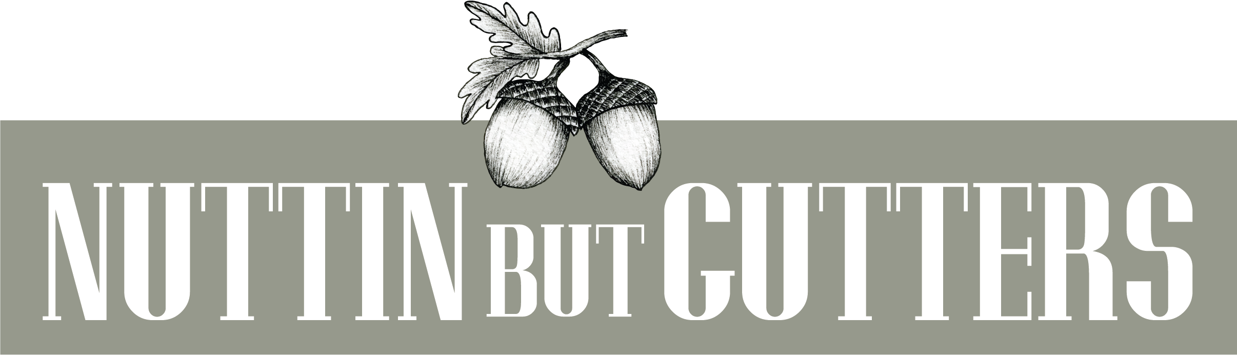 Nuttin But Gutters Logo