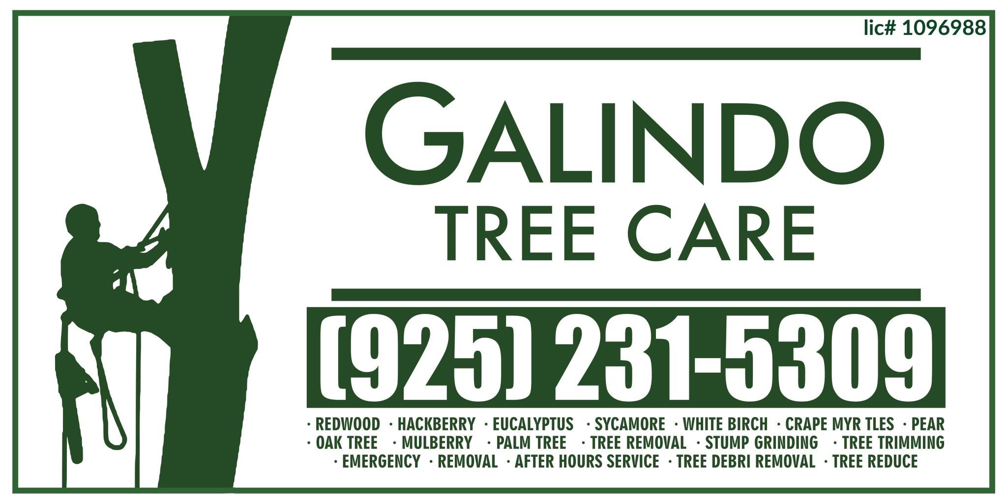 Galindo Tree Care, Inc. Logo