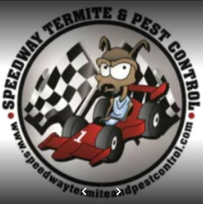 Speedway Termite & Pest Control, Inc. Logo