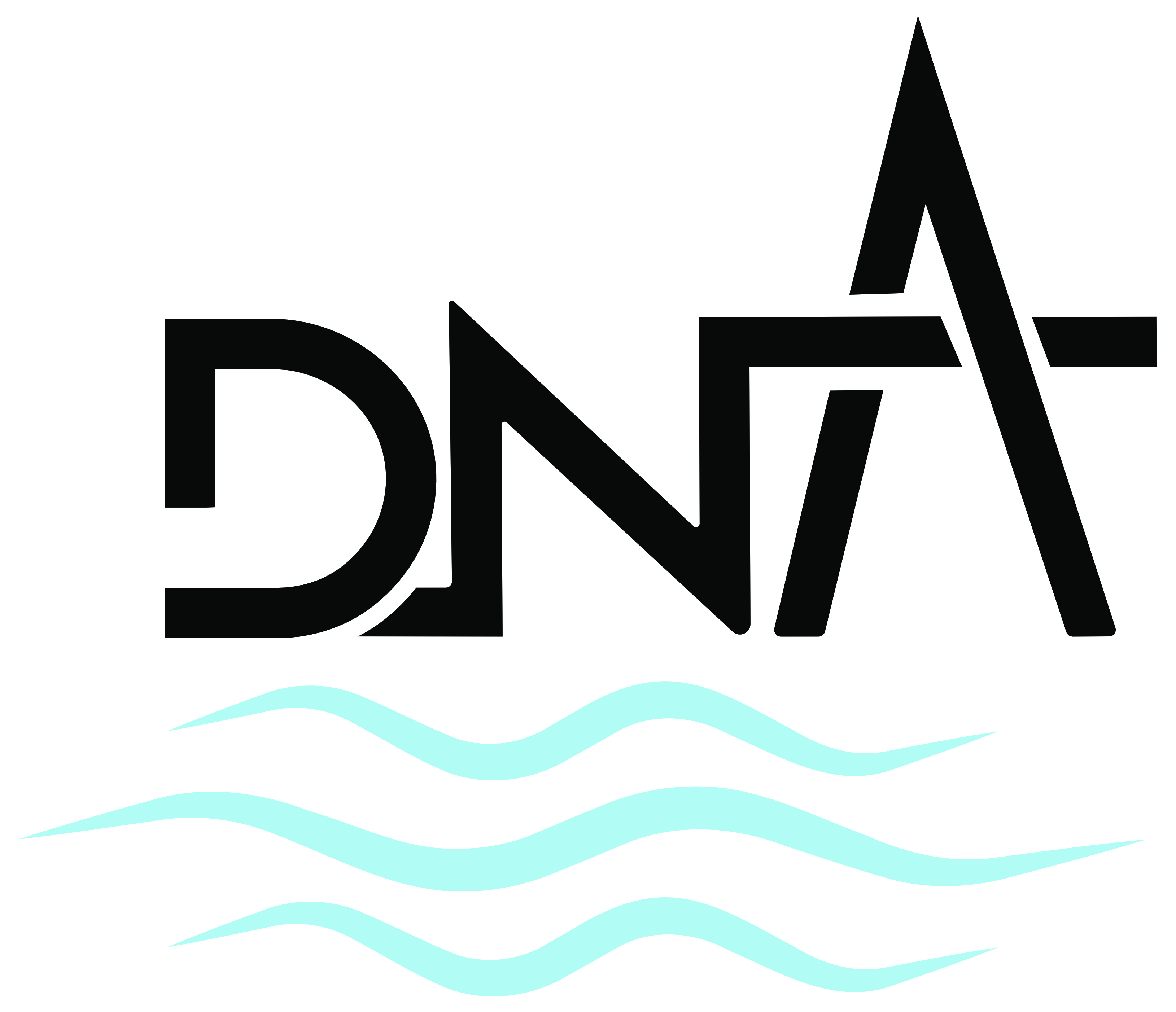 DNA Water Well Service Logo