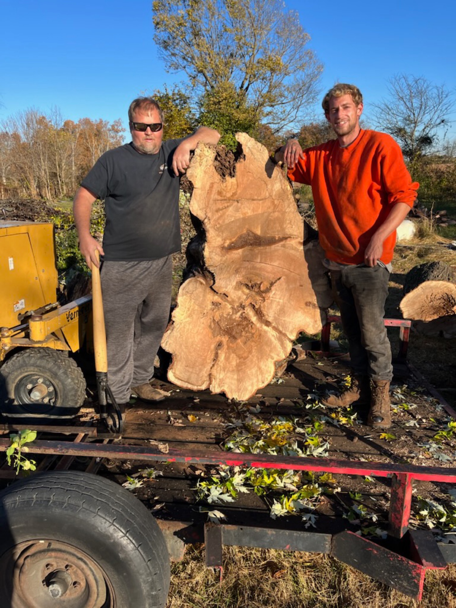 Kentucky's Best Tree Service Logo