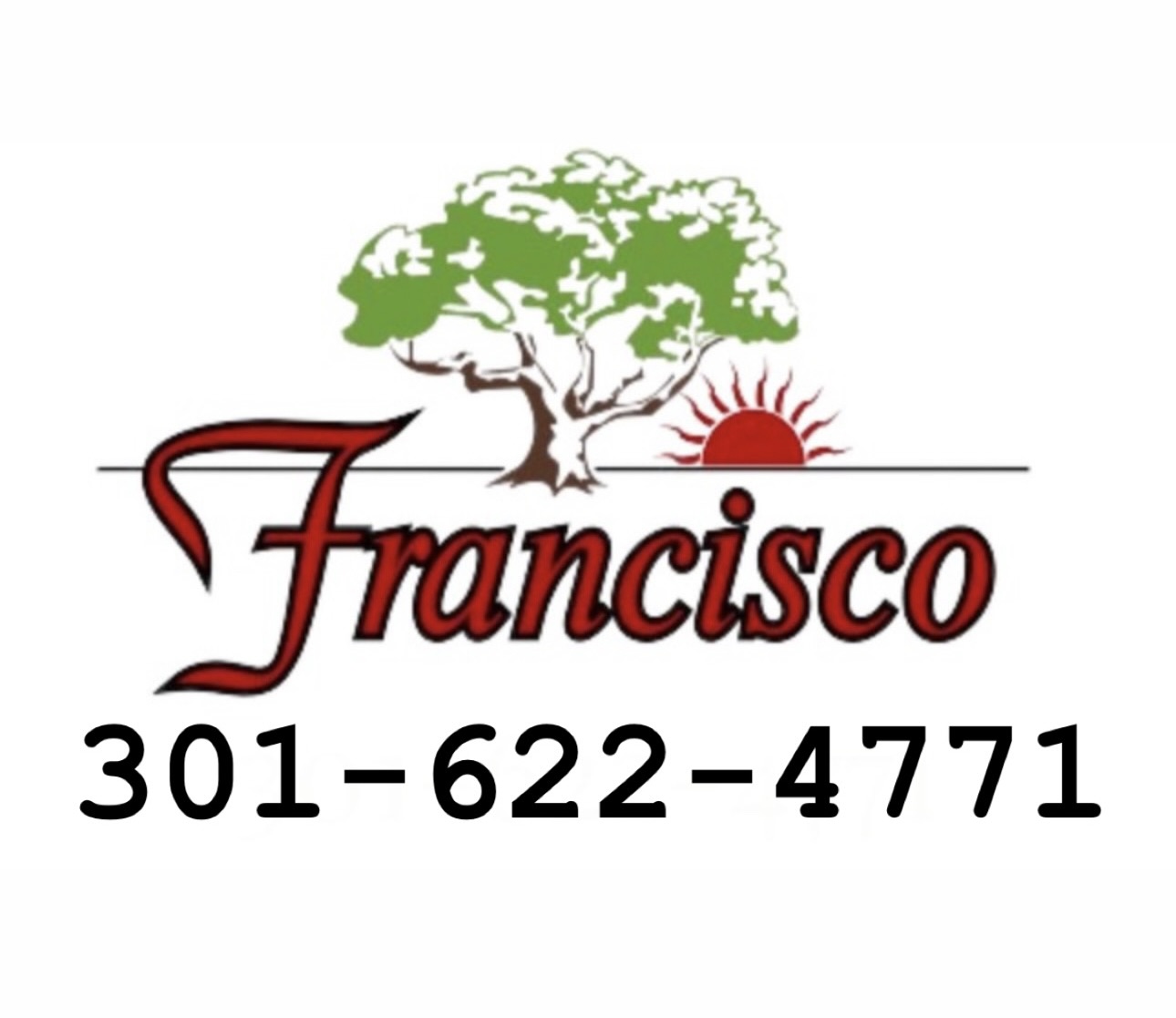 F M Group Inc. Logo