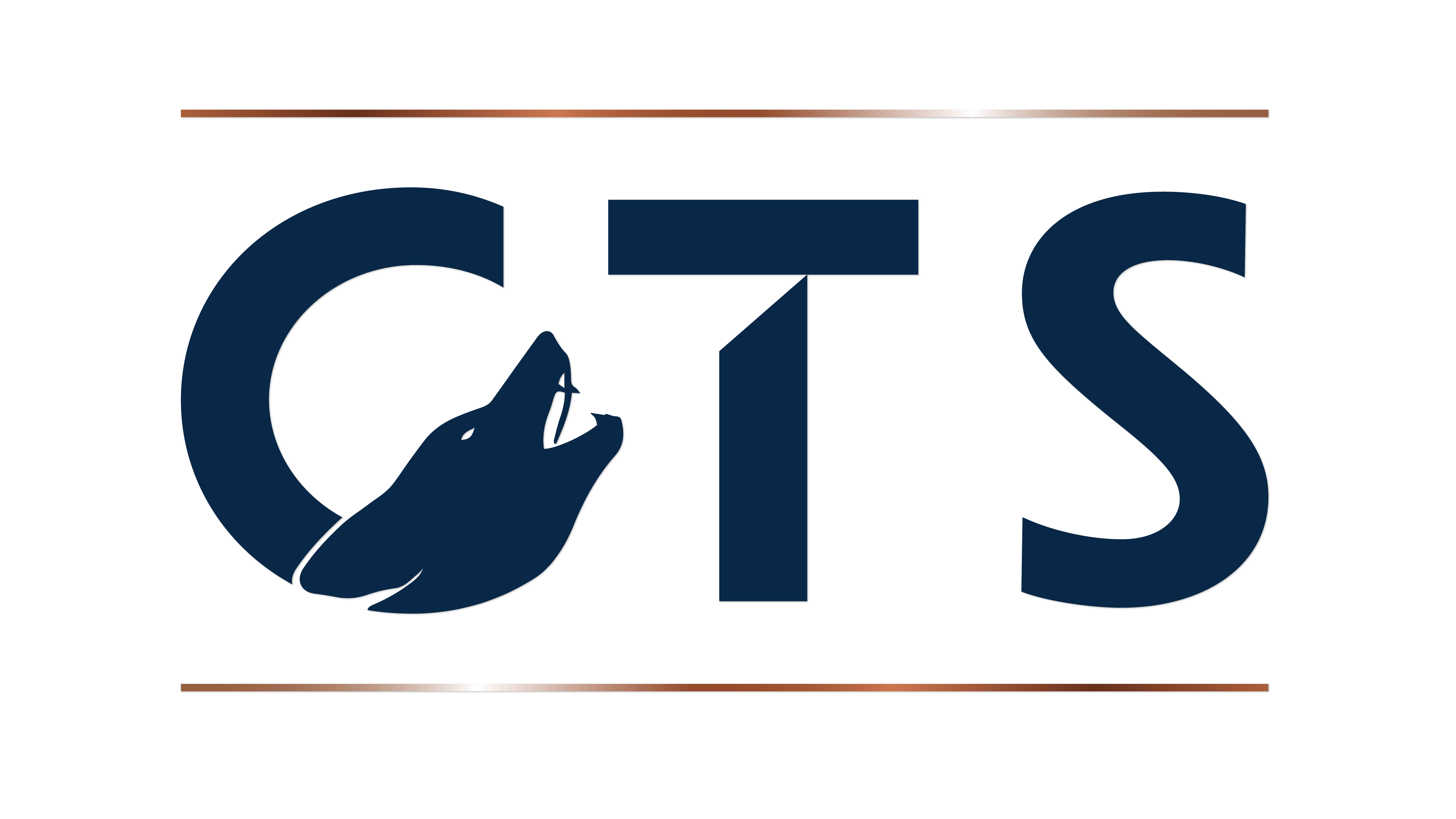Coyote Tech Services Logo