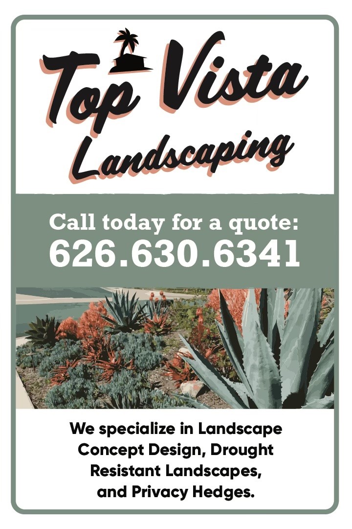 Top Vista Landscaping Logo