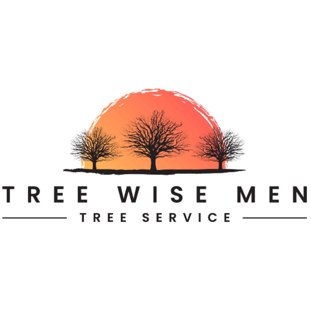 Wiseman Tree Service LLC Logo
