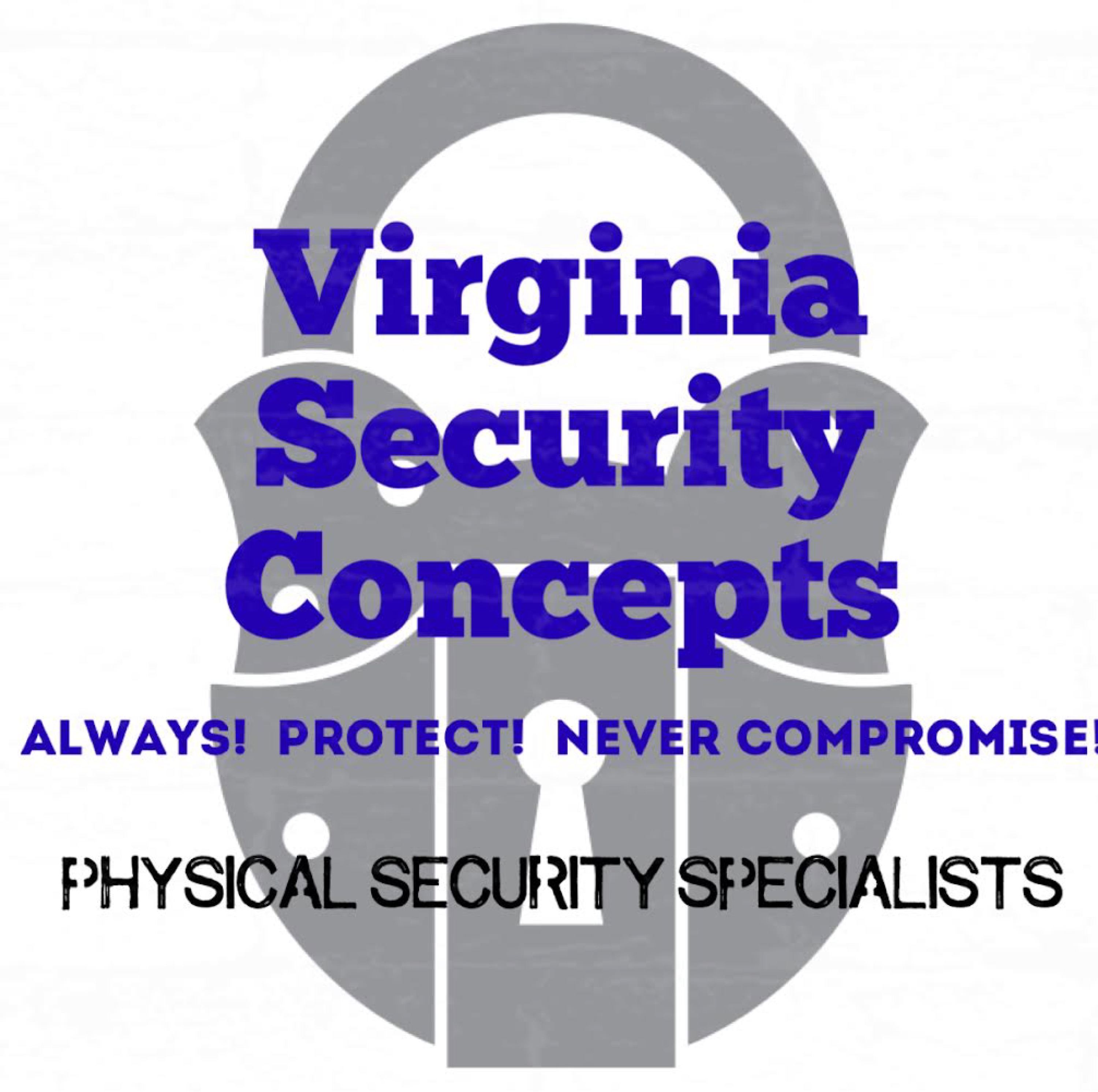 Virginia Security Concepts LLC Logo