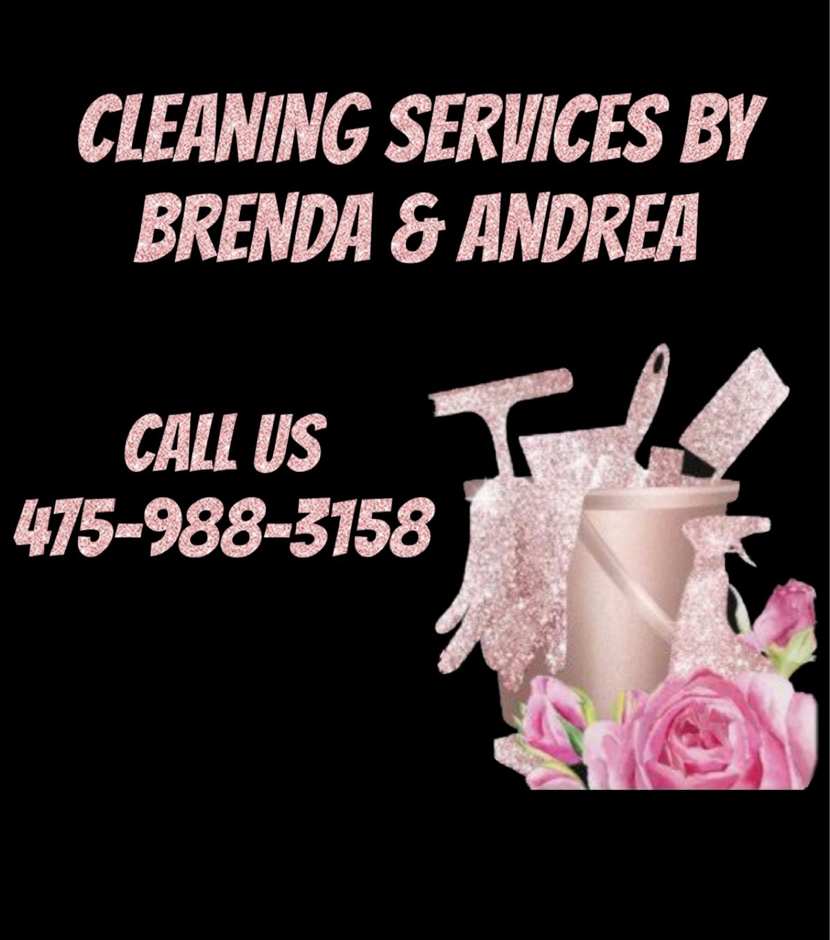 Cleaning Services By Brenda & Andrea Logo