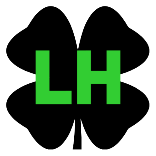 Lucky Home Solutions LLC Logo