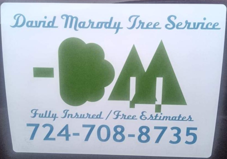David Marody Tree Service Logo