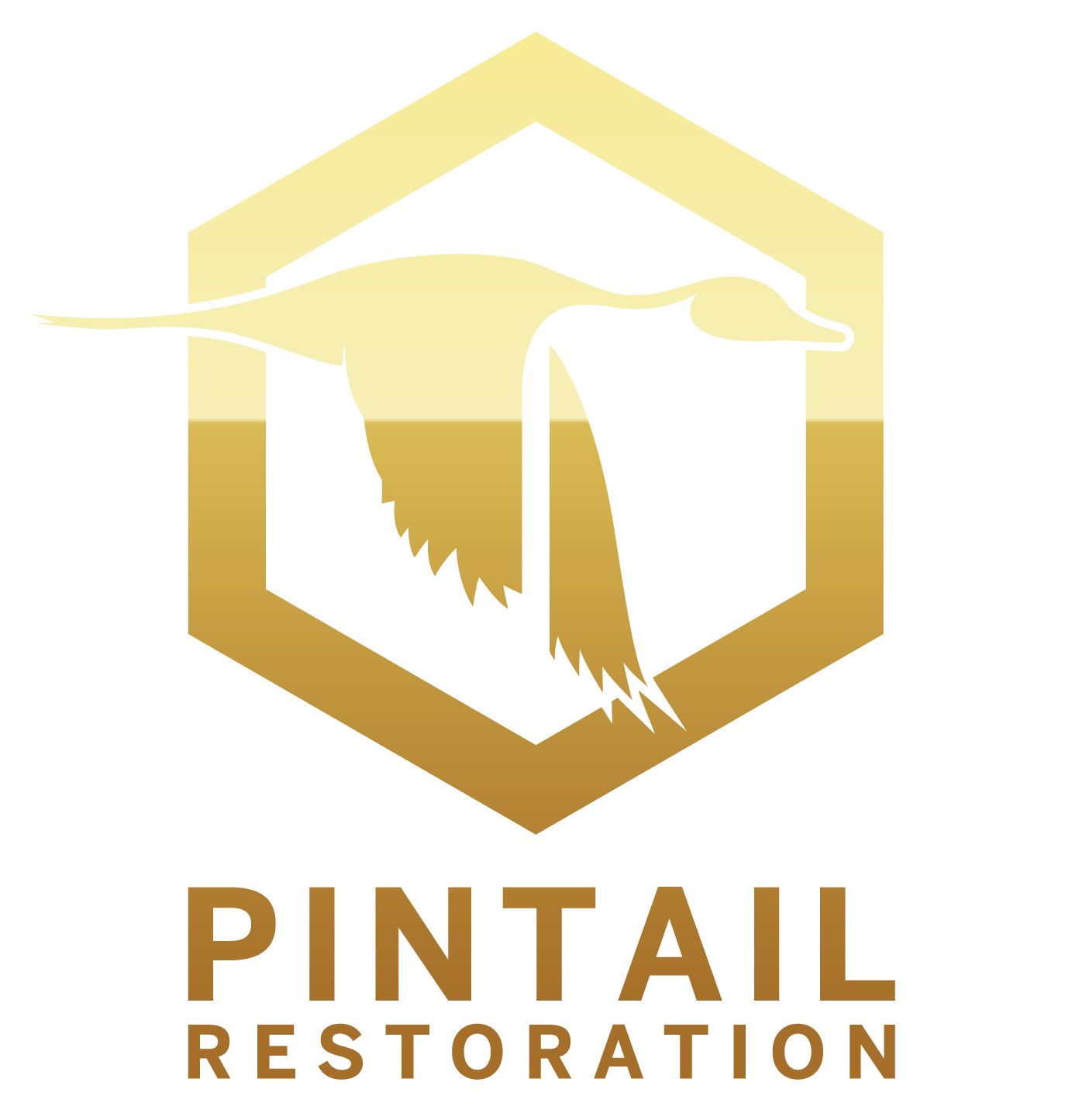 Pintail Restoration LLC Logo