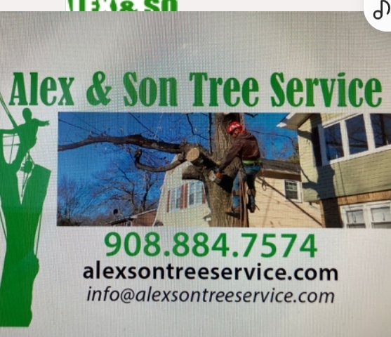 Alex & Son Tree Services Logo