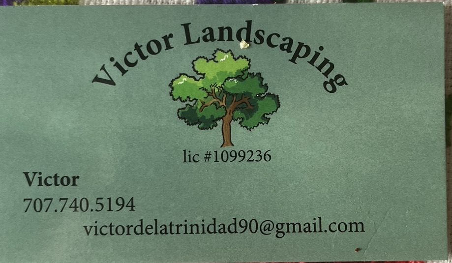 Victor Lanscaping Logo