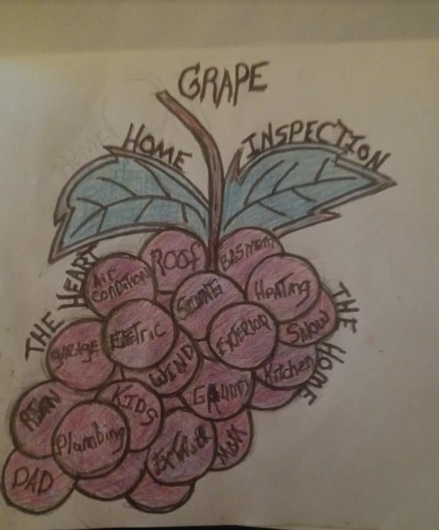 Grape Construction Services Logo