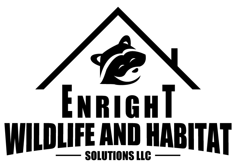 Enright Wildlife and Habitat Solutions, LLC Logo