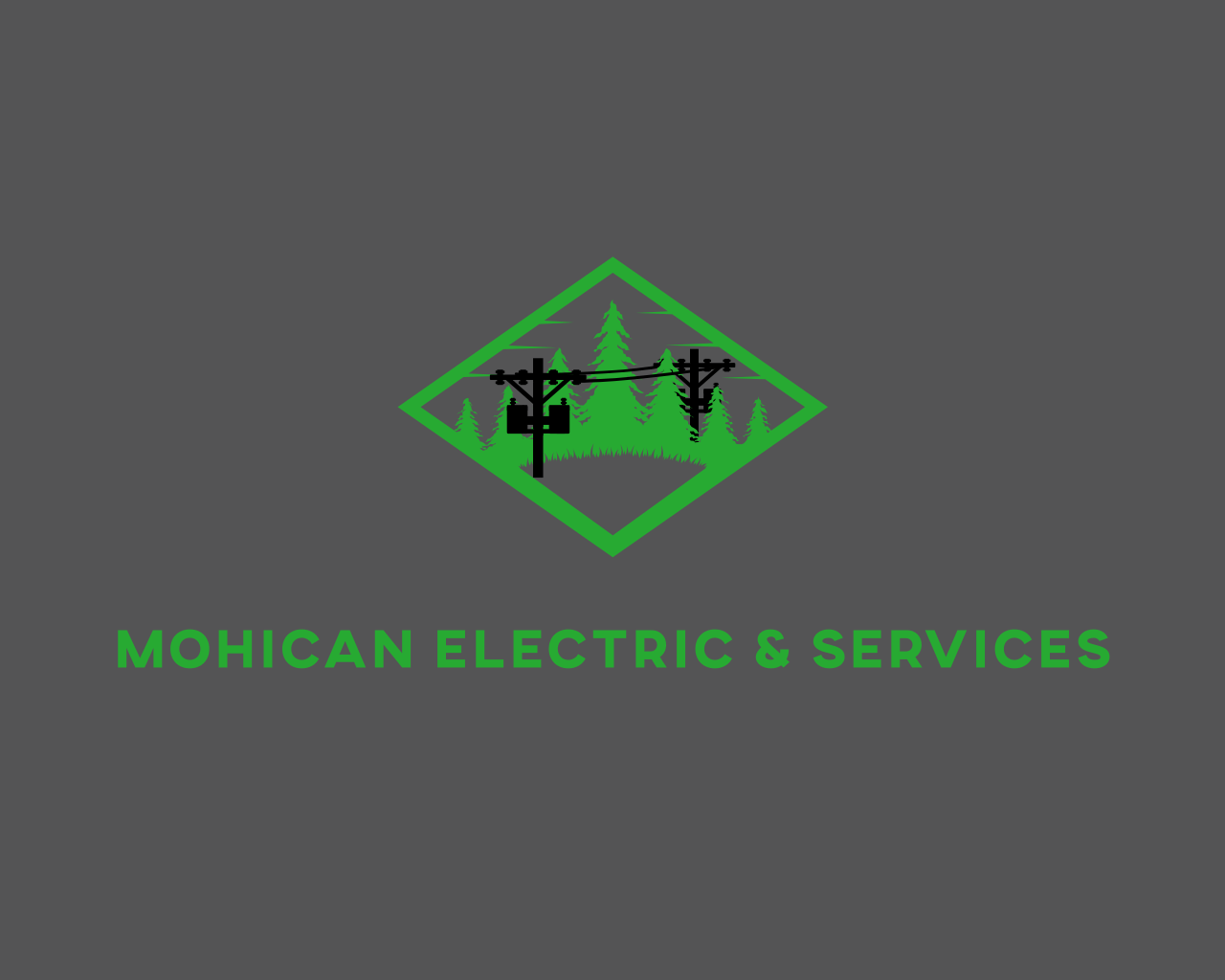 Mohican Electric and Services LLP Logo