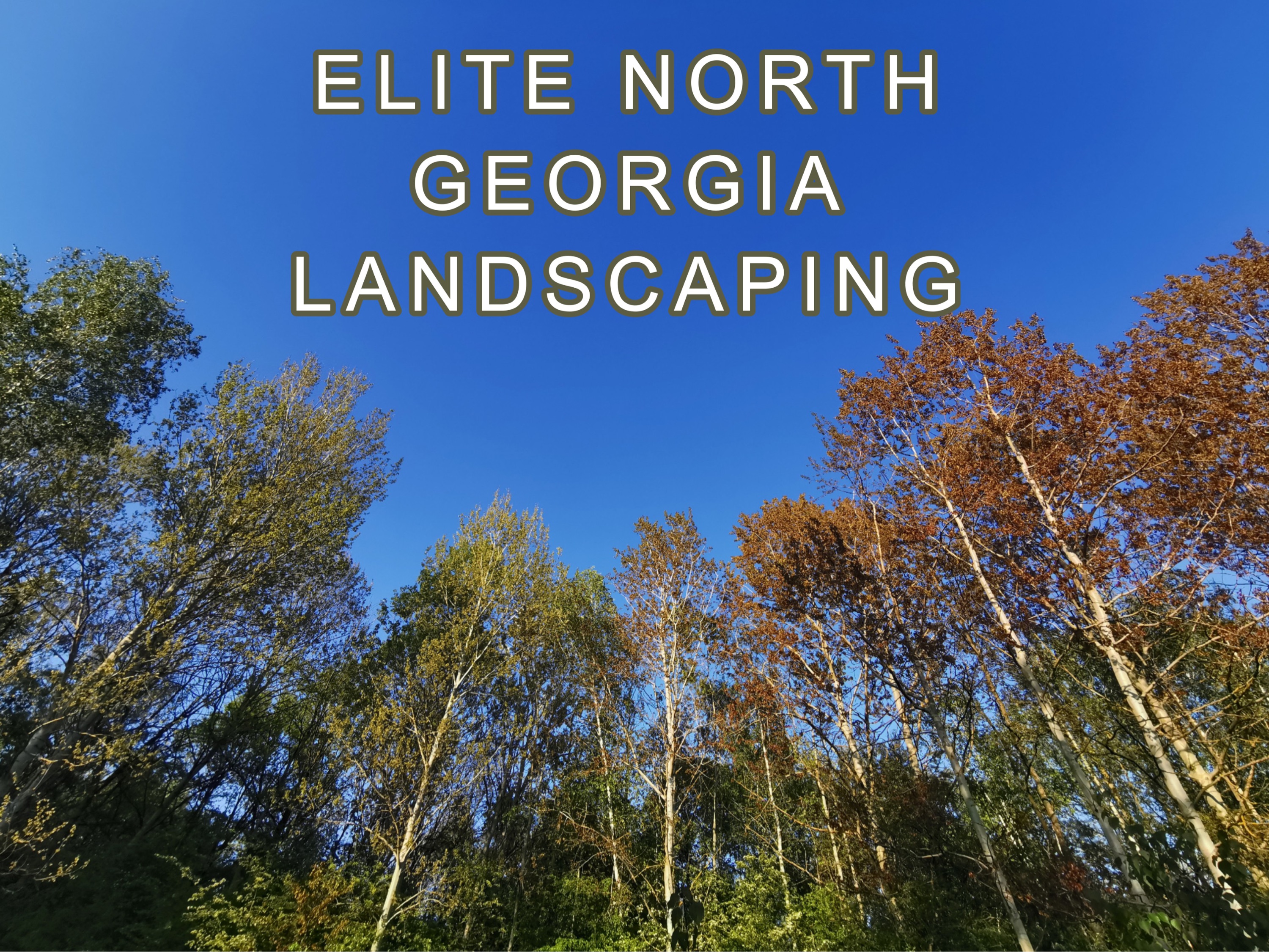 Elite Georgia Landscaping Logo