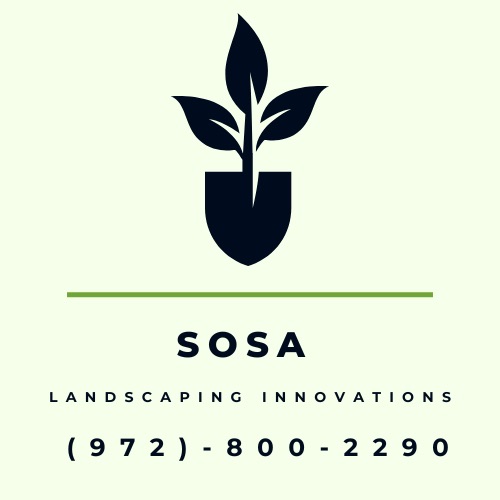 Sosa Innovations Logo