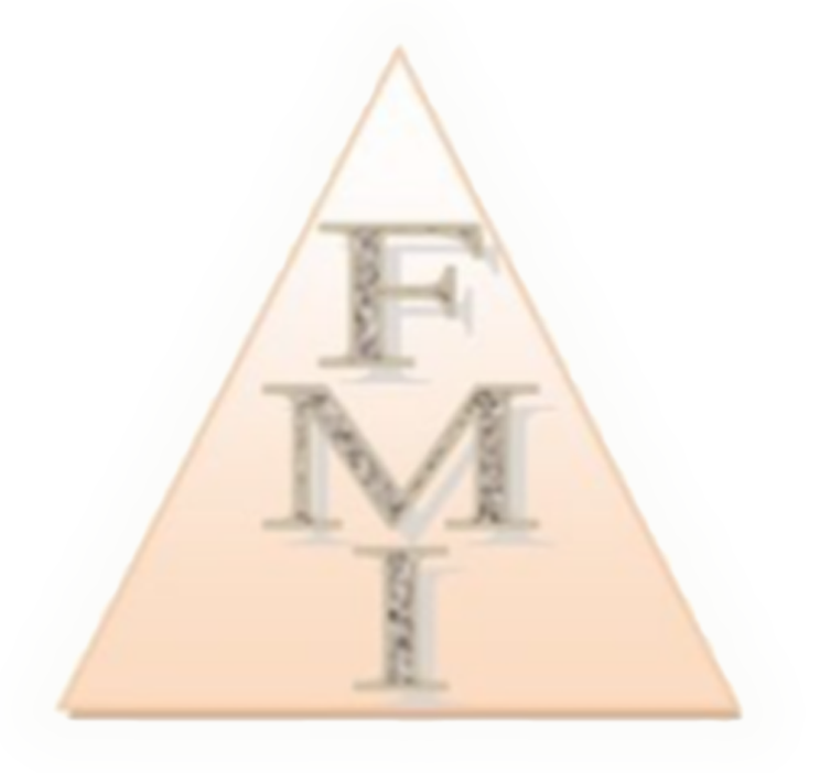 FMI Construction Services, Inc. Logo