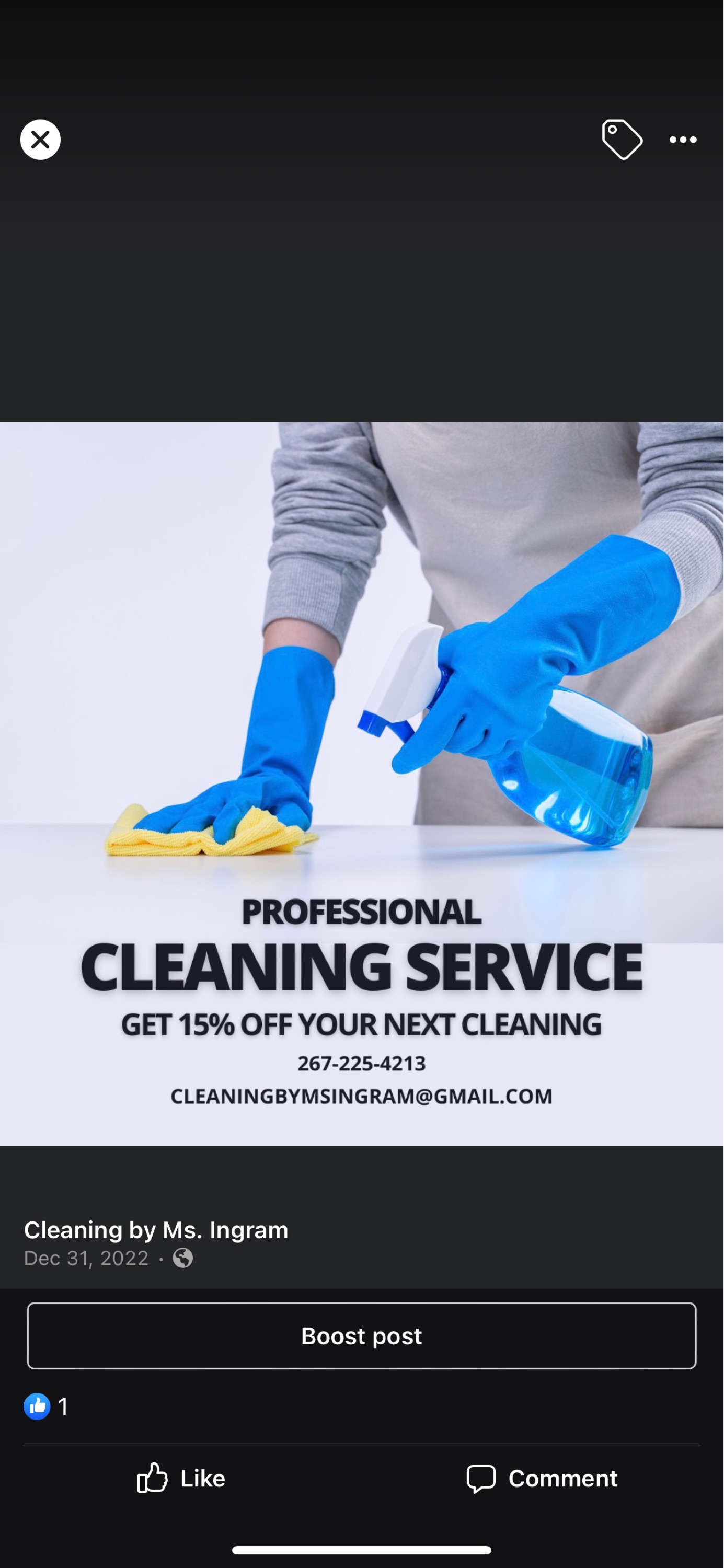 Cleaning by Ms Ingram Logo