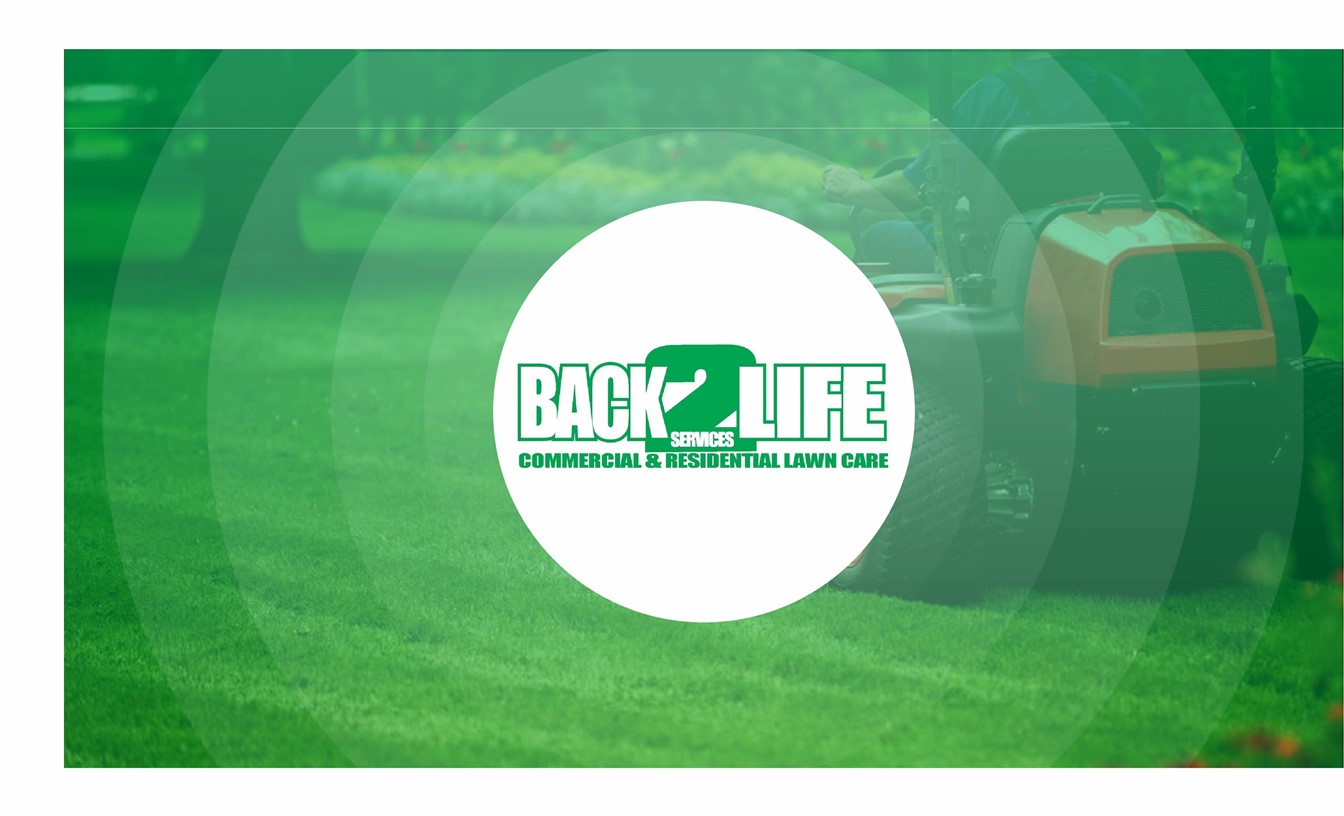 Back 2 Life Services, LLC Logo