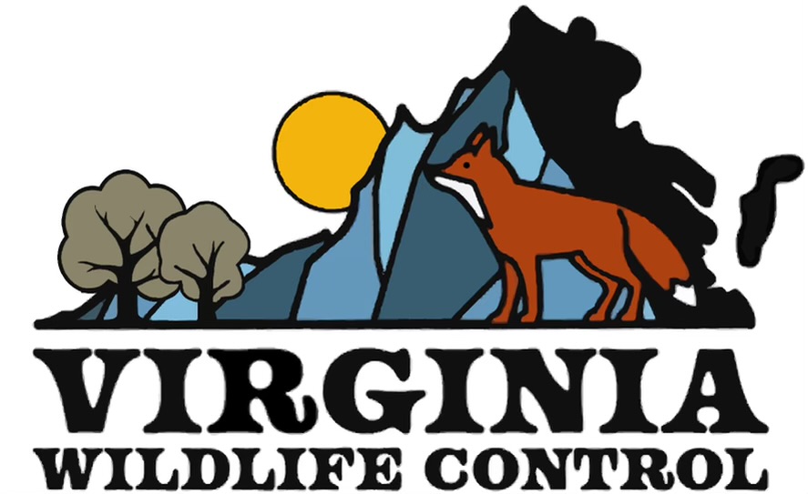 Virginia Wild Life Control Logo