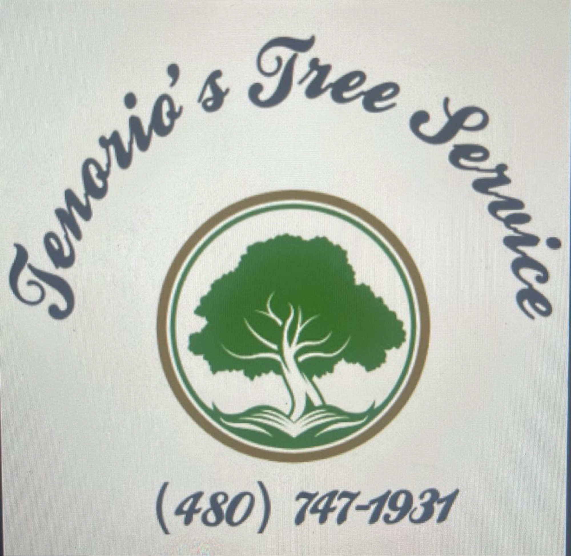 Tenorios Tree Service, LLC Logo
