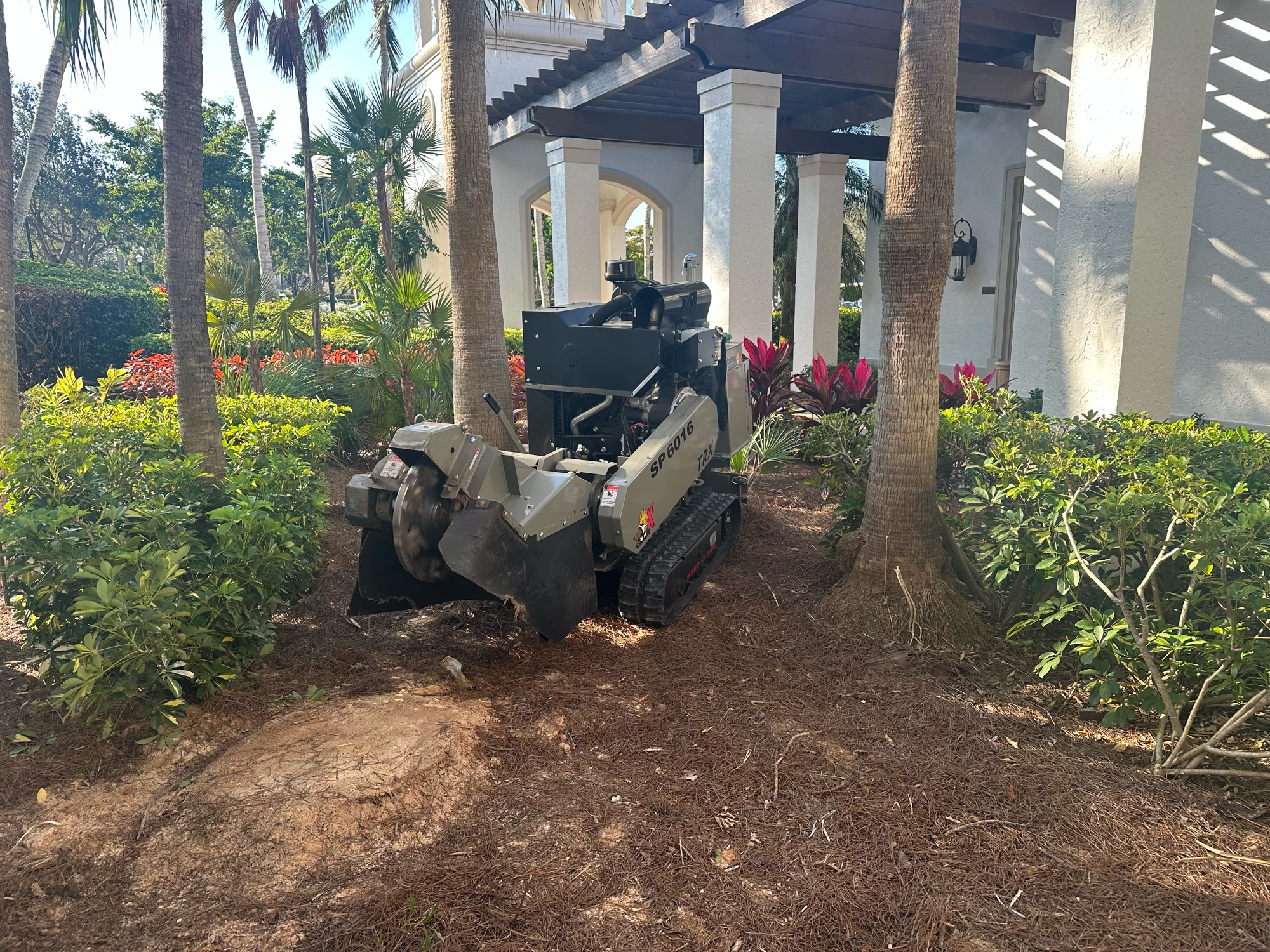 Stump Grinding, Inc. Logo