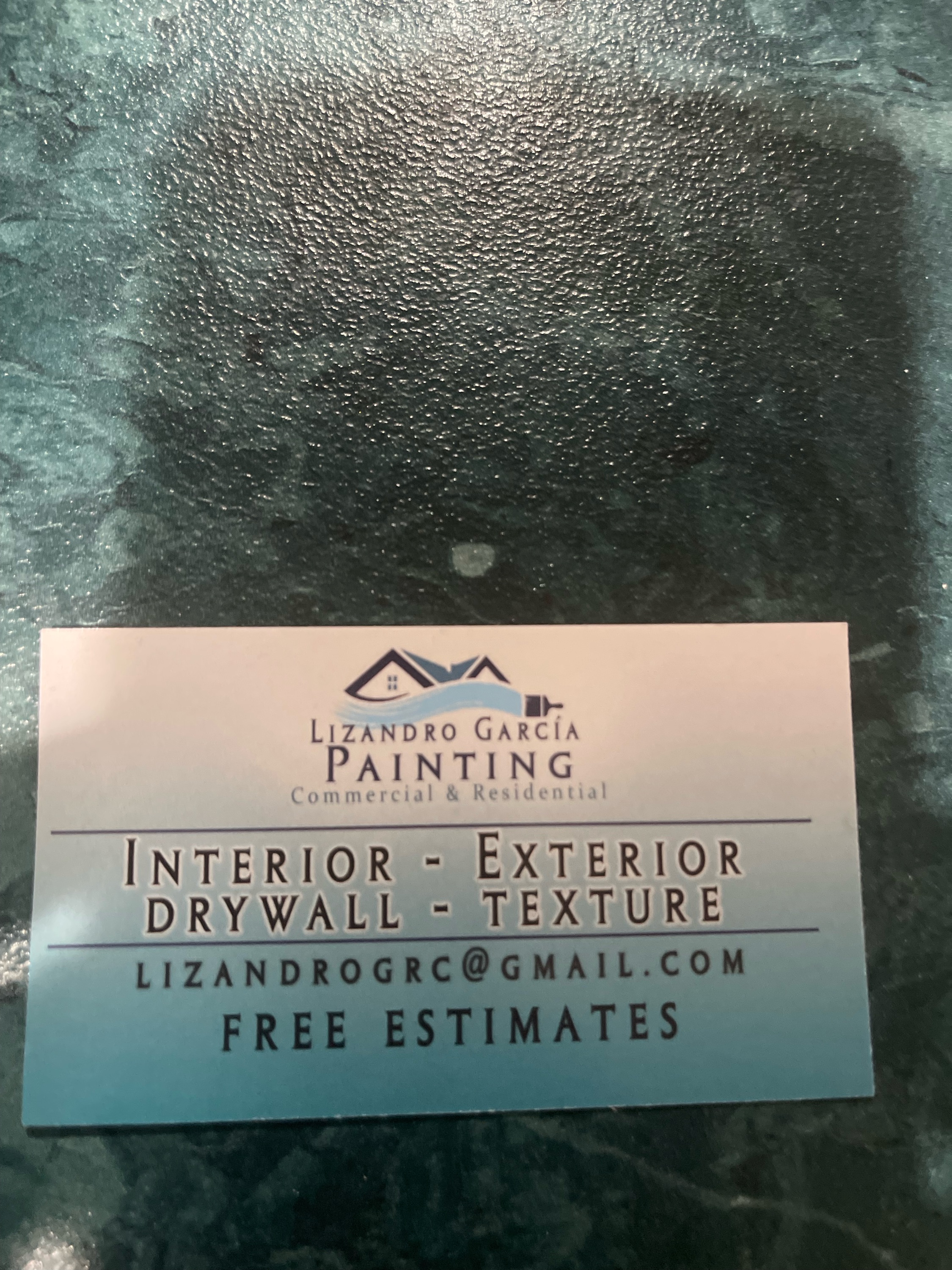 Lizandro Garcia Painting Logo