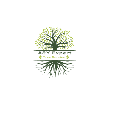 A & Y Expert Tree Service INC. Logo