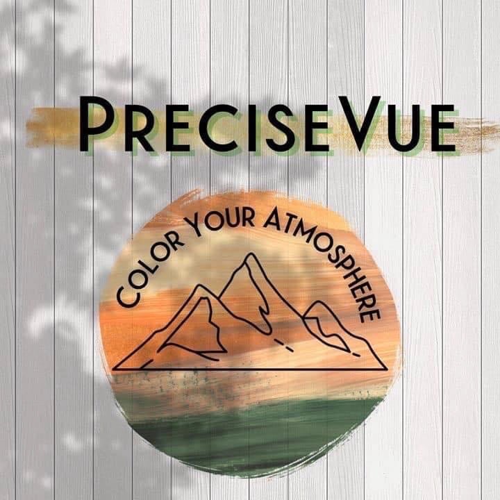 PreciseVue Logo