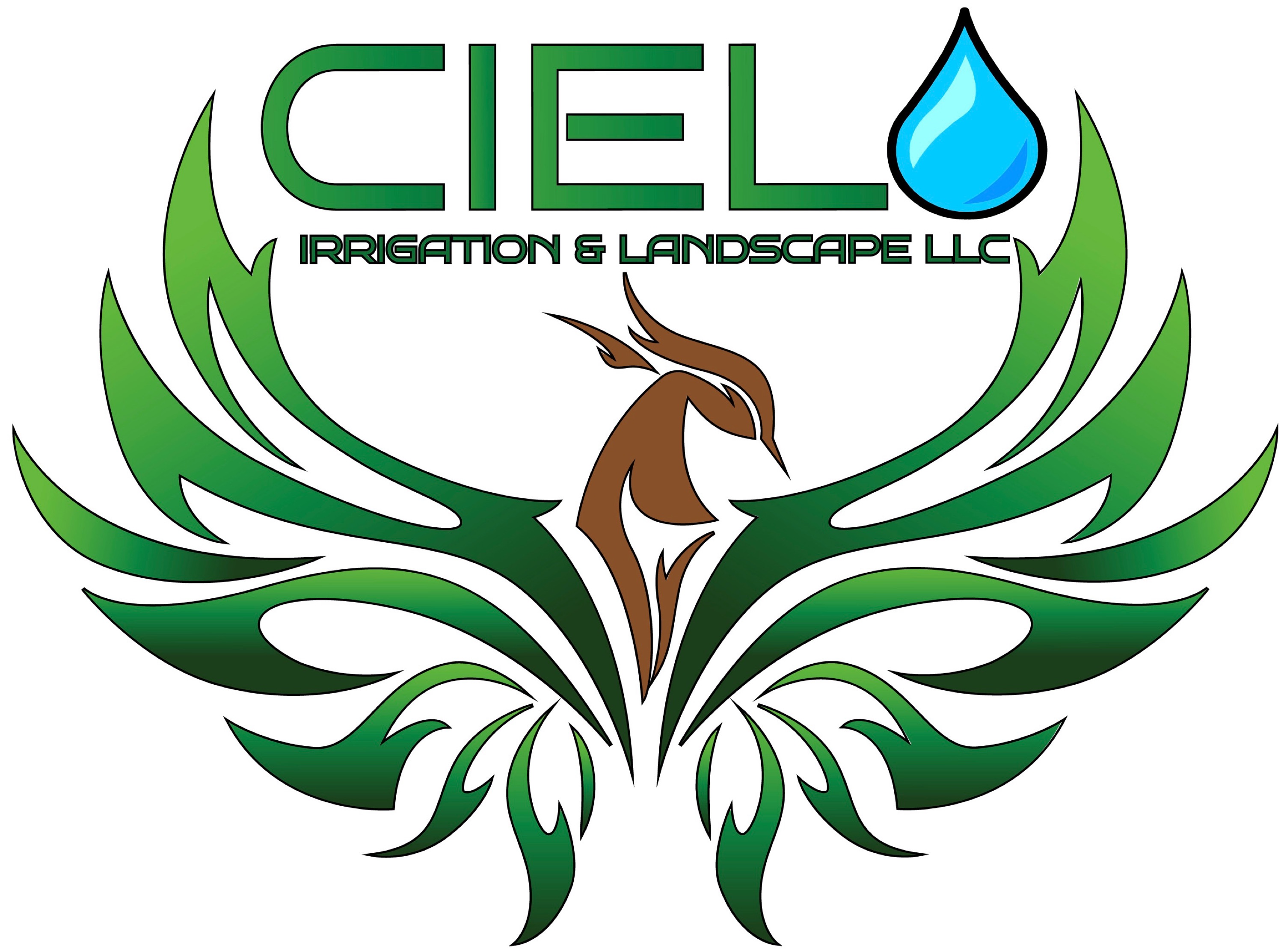 Cielo Irrigation and Landscape LLC Logo