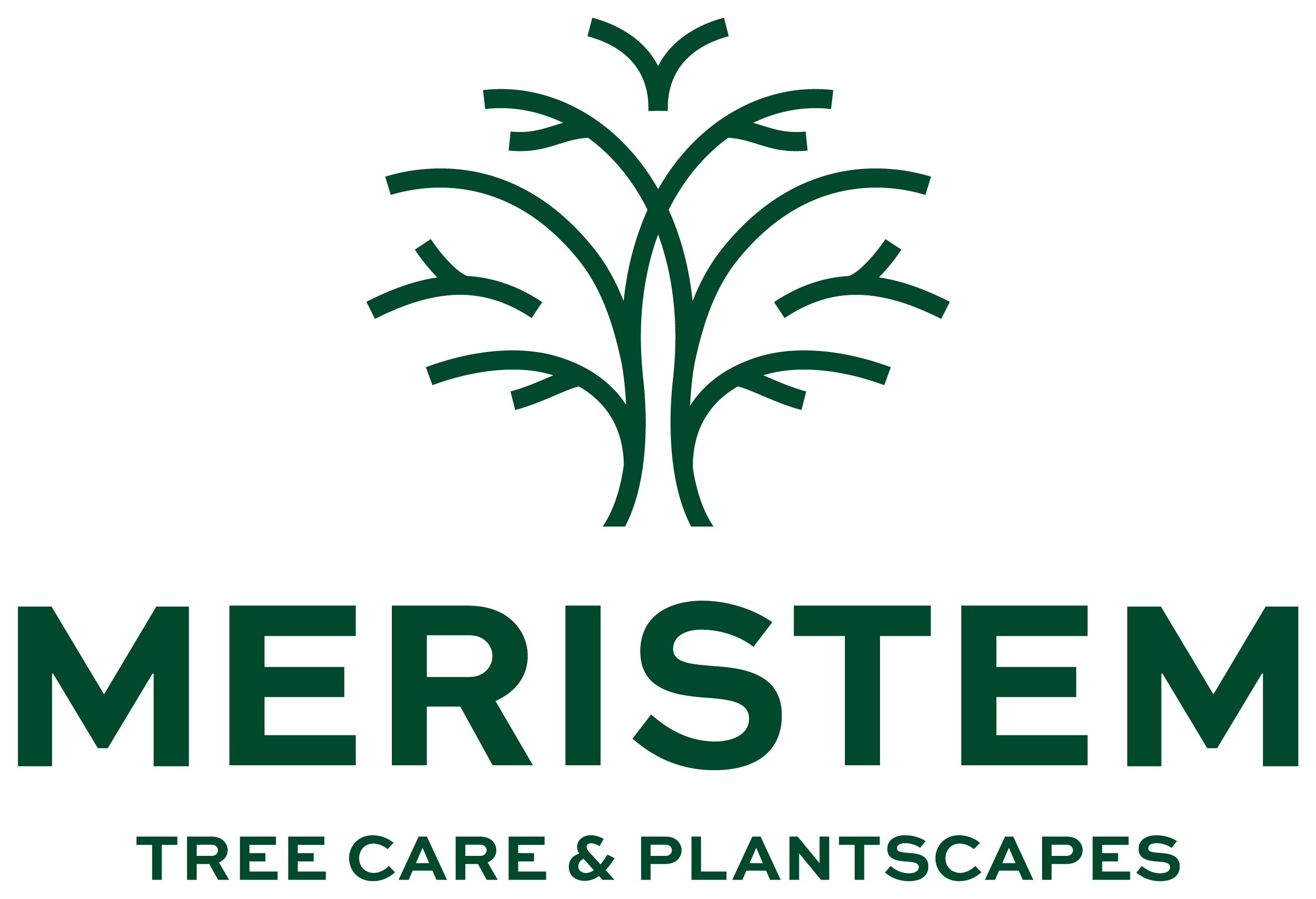 Meristem Treecare and Plantscapes LLC Logo