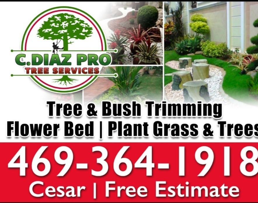 Diaz Professional Tree Service Logo