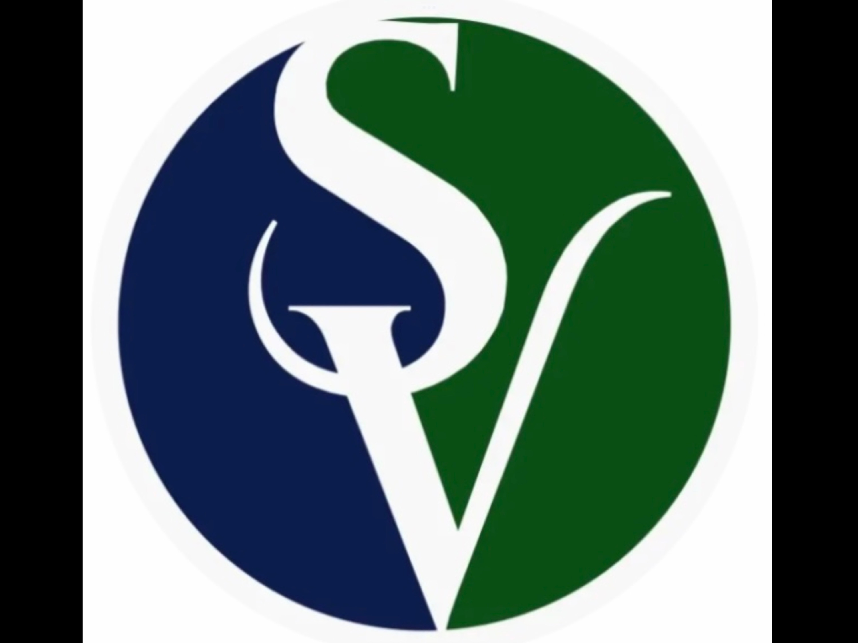 SkyVision Energy LLC Logo