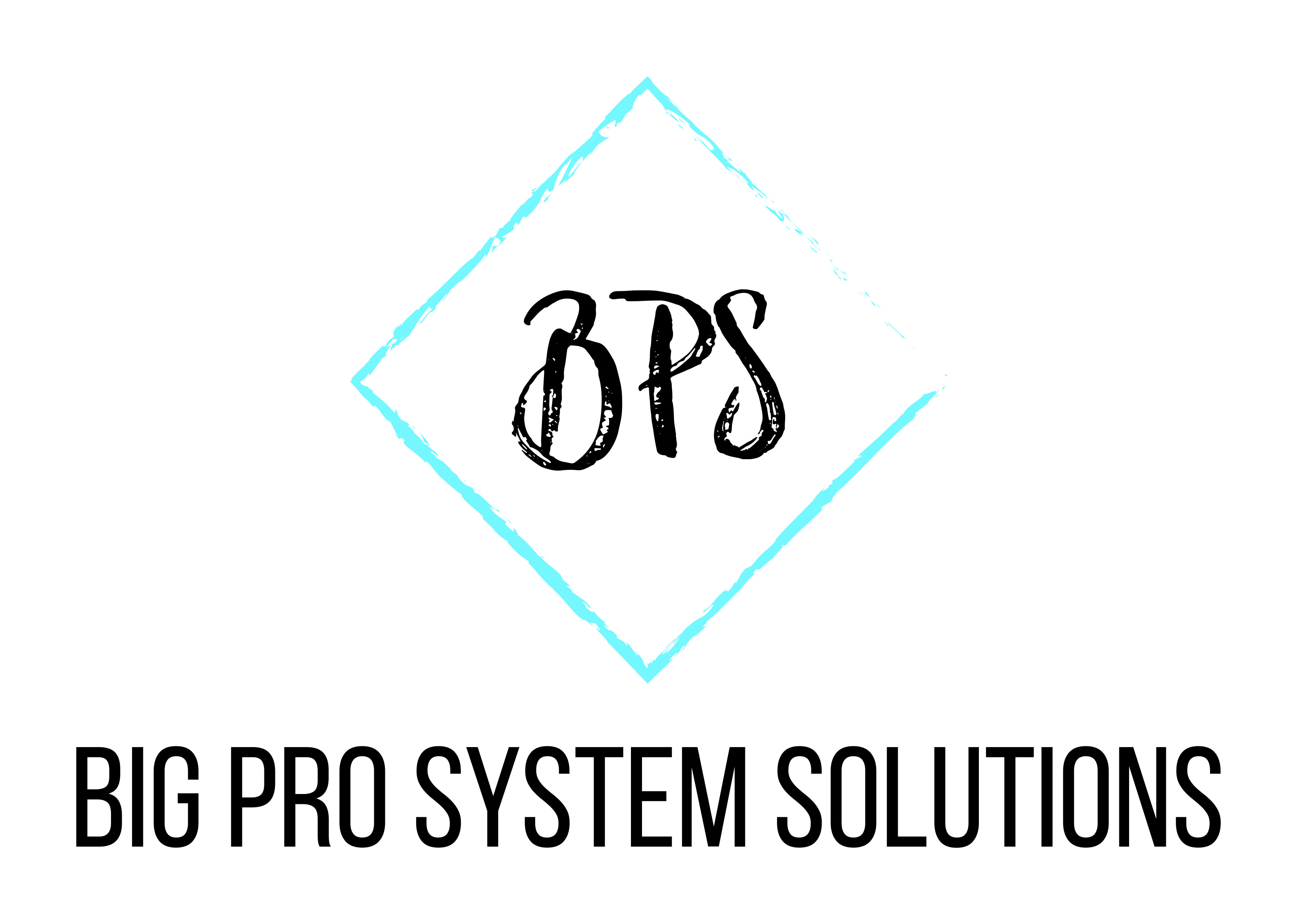Big Pro System Solutions Logo