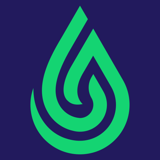 Liz Cleaning Company Logo